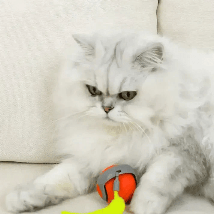 TailPlay 2.0 – Pelota Inteligente Con Cola Para Gatos