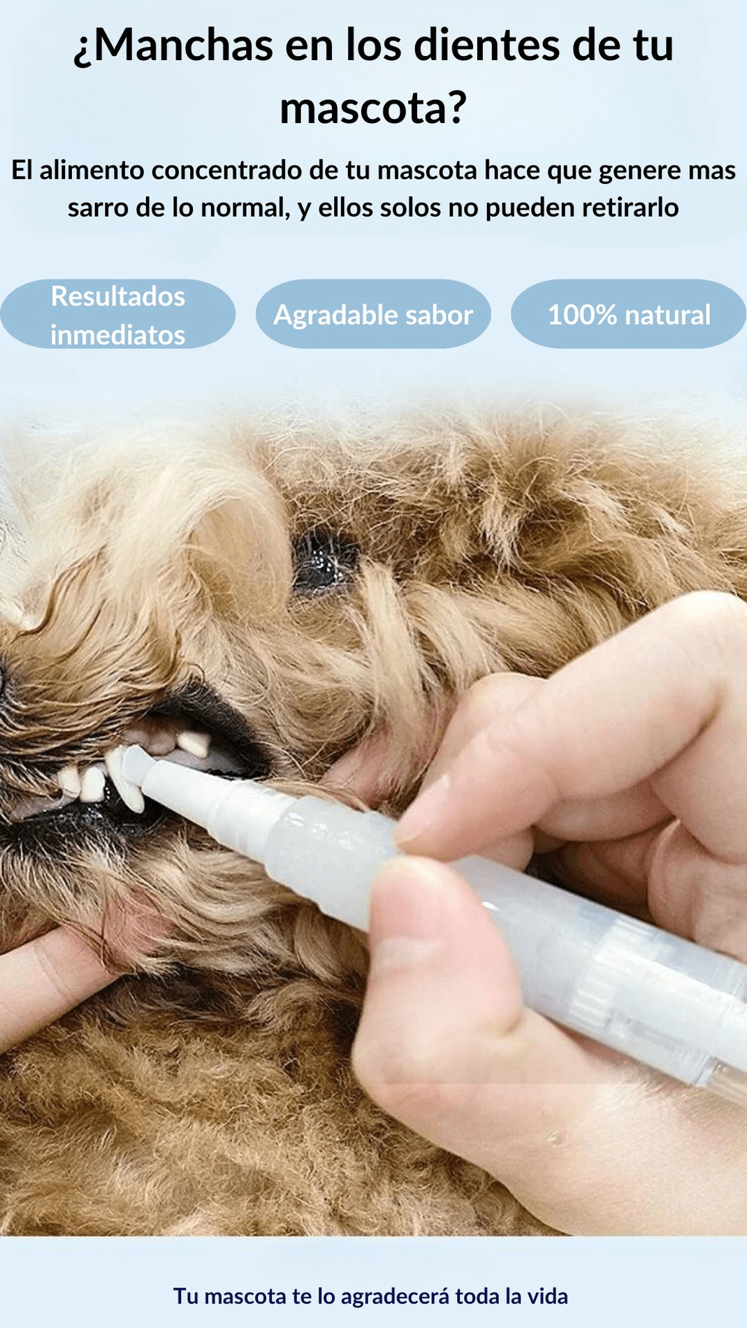 VetBrush - Limpiador dental para mascotas - 2